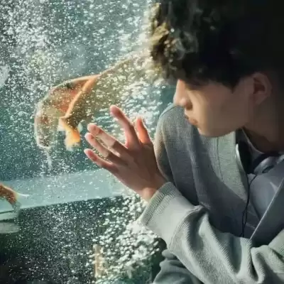 段绮玉